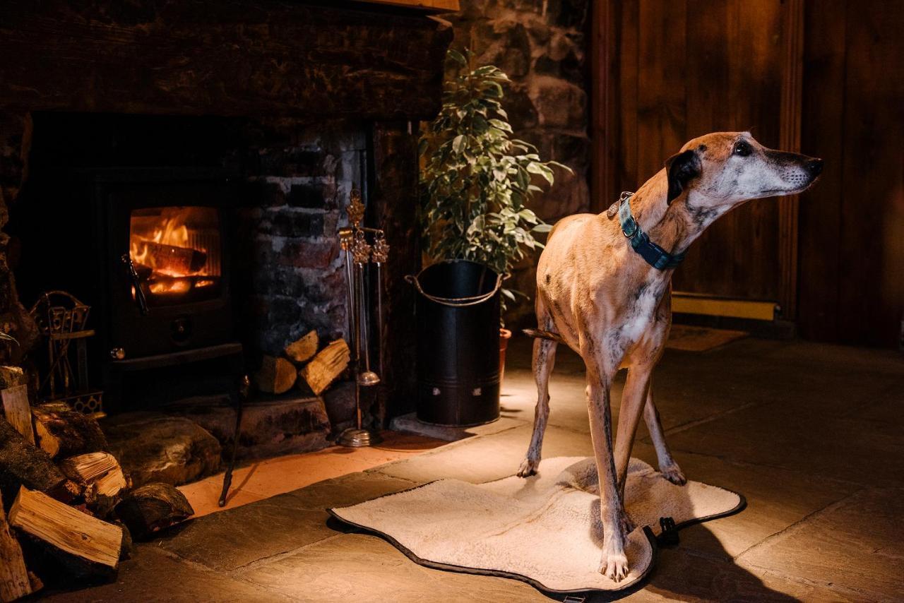 Newton Hall Chathill Dış mekan fotoğraf
